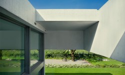 Suspendisse arcu nisl